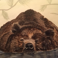 Sleepy Grizzly